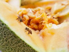 -西郊国际农产品交易中心