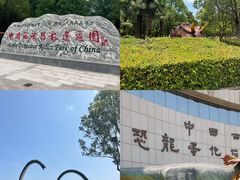 -中国西峡恐龙遗迹园