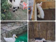 -HERRE·FARM 赫尔露营农场·团建聚会包场