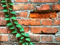 -boundaries籬苑(瑞光创意工厂-贰号院店)