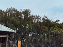 -普陀山风景名胜区-法雨禅寺