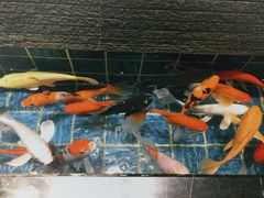 景观位-酒问半山·悦享餐厅