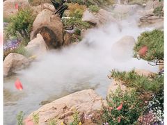 -罗红摄影艺术馆