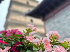-大慈恩寺(大雁塔)