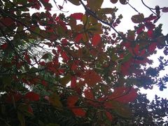 -红色娘子军纪念园