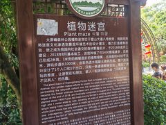 -大屏嶂森林公园