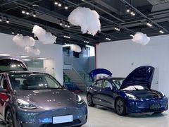 -TESLA 特斯拉(深圳观澜特斯拉直营钣喷中心)