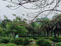 -飞来湖湿地公园