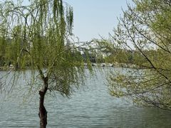 -南通濠河风景名胜区