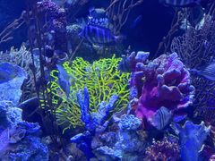 -太平洋海底世界