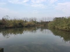 -溱湖国家湿地公园