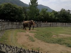 -西安秦岭野生动物园