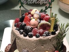 小森の光-逐梦-EnergyCake蛋糕理想国
