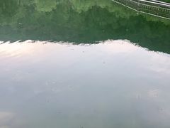 -五龙城郊森林公园
