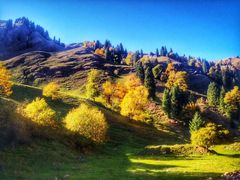 -渔公馆·川菜馆·家宴·生日宴(大地中央广场店)