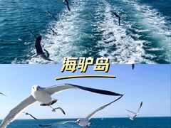 -海驴岛(荣成市)