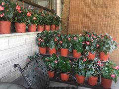 -晓院餐厅