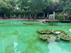 -静安公园(静安寺街道)