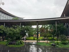 -金鸡湖景区