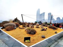 -重庆市江北嘴中央商务区中央公园