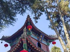 -洛阳白马寺