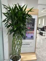 -悟空祛痘·诺奖技术专业店