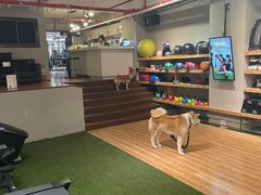 -YCHL Studios健身工作室(市二宫店)