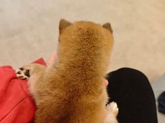 -宠颐生汉谟拉比宠物医院