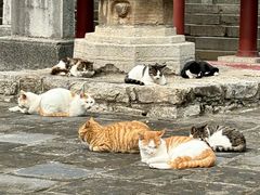 -四门塔风景区