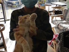 -平行世界·猫咖(首经贸店)