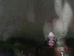 -小洲村