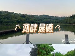 -莲花山公园