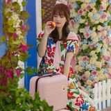 魔都乐淇苹果快闪🍎买苹果送行李箱‼️