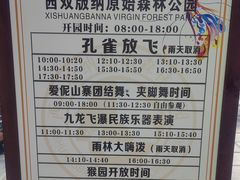 -西双版纳原始森林公园