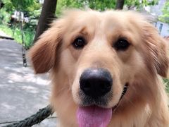 -畜牧兽医站(共江路店)