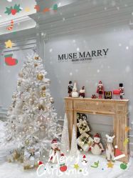 -MuseMarry婚纱(前海嘉里中心店)