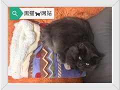 -联合动物医院(光谷诊疗中心)