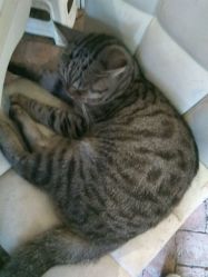 -如果 · 形象 个人整体形象设计工作室