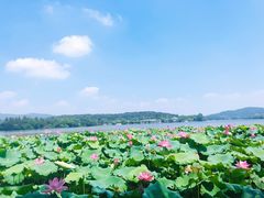 -知味观(湖滨总店)