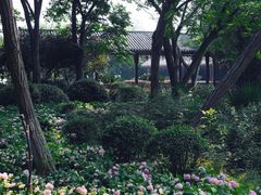 -金银湖国家城市湿地公园