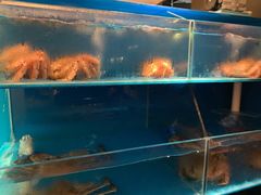 -蟹田居·活蟹料理(东城店)