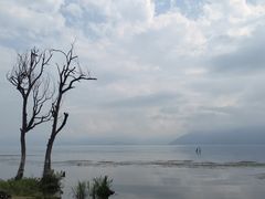 -大理洱海