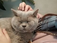 -小时光咖啡馆(北锣鼓巷店)
