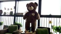 点击看大图 -星野形象