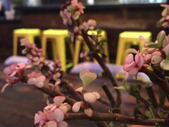 大堂-MIKAKU(万达广场上海宝山店)