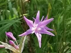 -昆山城市生态森林公园