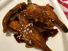 -渝蛙馆(新百店)