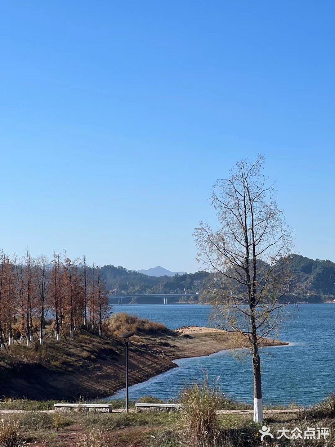 来千岛湖一定要去吃方大茂呀