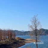 来千岛湖一定要去吃方大茂呀