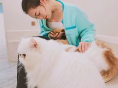 -More Fun猫咖 二十只万元加菲主题